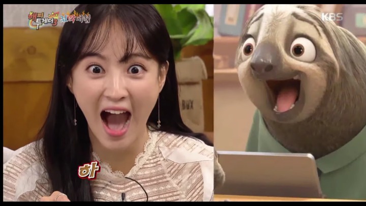 [해피투게더] 주토피아 나무늘보 완벽하게 묘사하는 정혜성ㅋㅋㅋㅋㅋ | 인스티즈