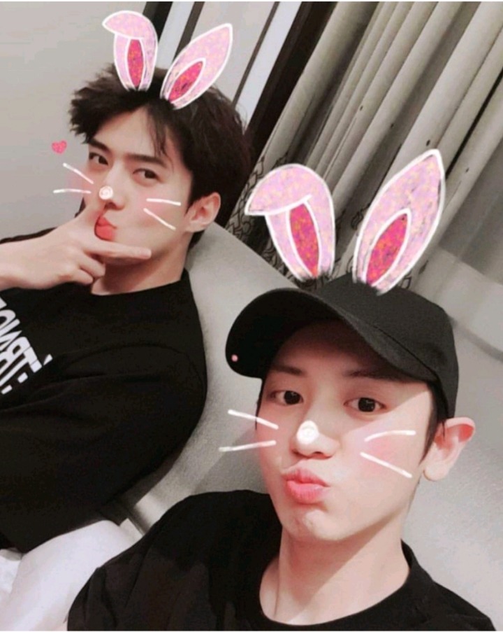 굿차이 이미지