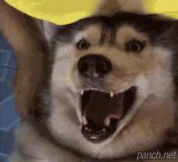 물리엔진 오류 | 인스티즈