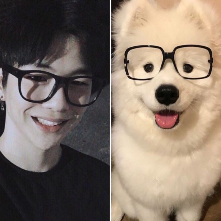 강아지중에 가장 사람닮은듯한 강다니엘 사진모음.jpg | 인스티즈