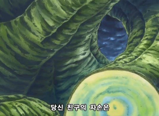 원피스 핵간지 캐릭터 ㄷㄷㄷ | 인스티즈