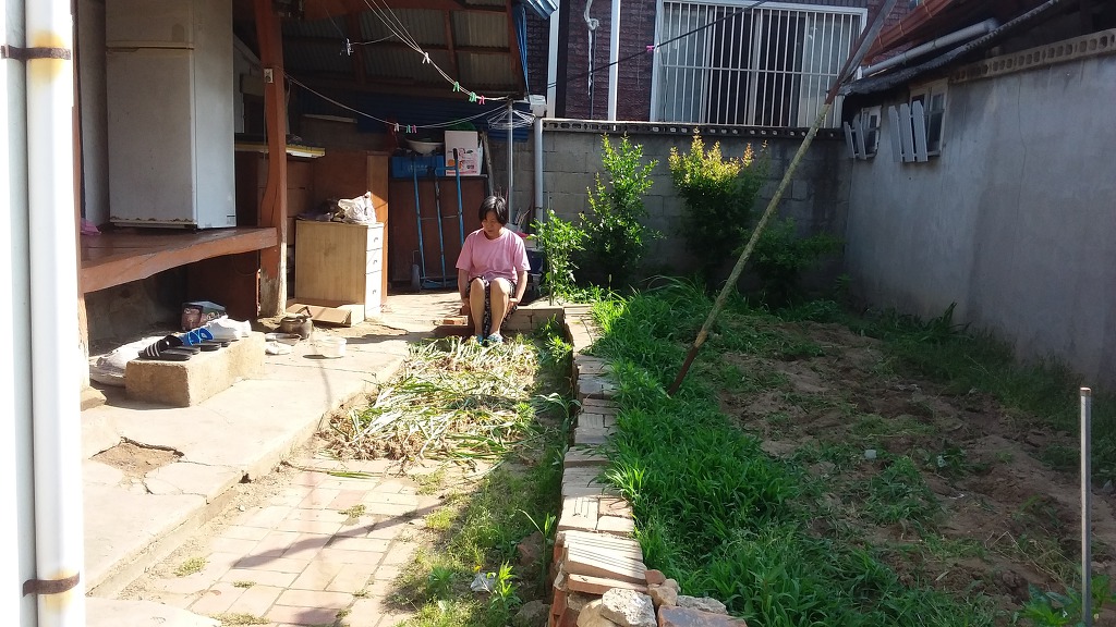 대우이용소 이미지
