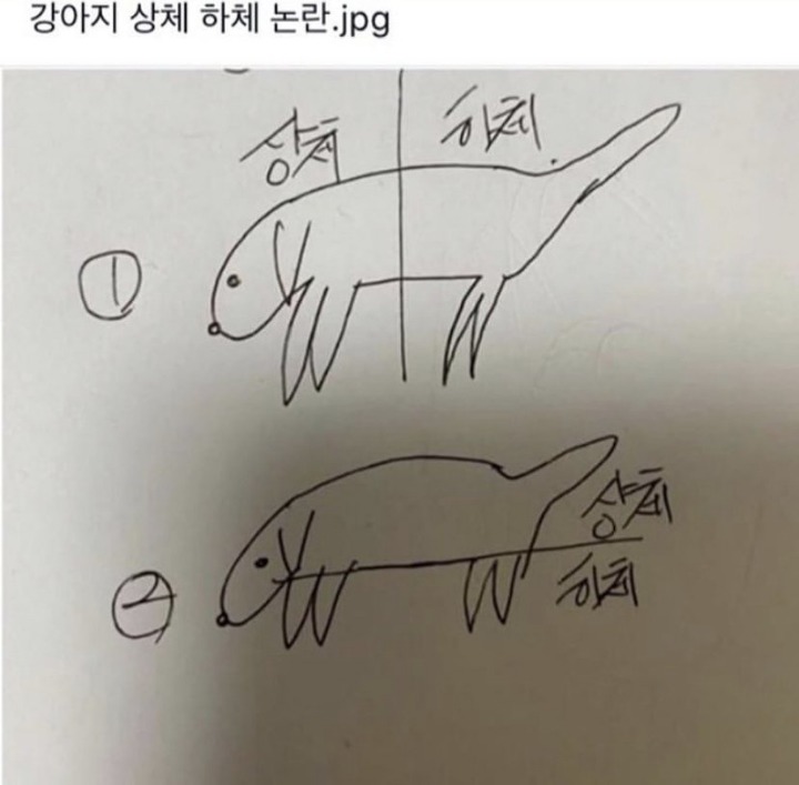 강아지 상체 하체 논란 jpg | 인스티즈