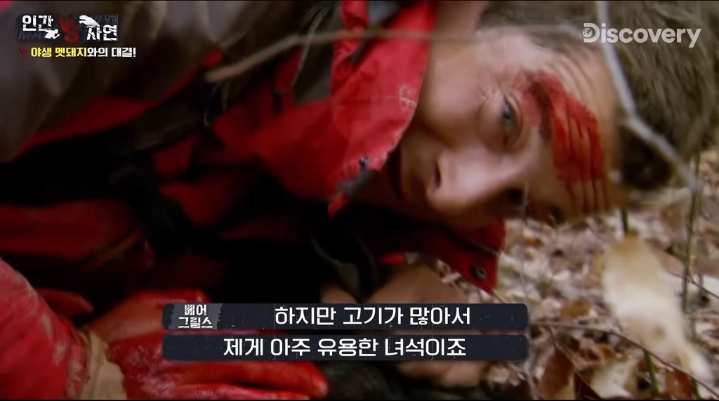 돼지 사냥하는 베어그릴스.gif | 인스티즈