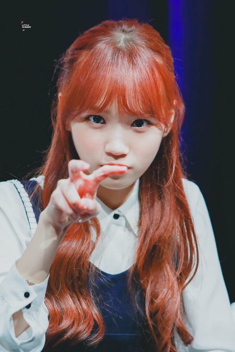 아이즈원 채원 시그니처 포즈 | 인스티즈