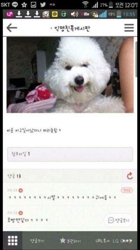 아무말 대잔치 모음ㅋㅋㅋㅋㅋㅋㅋ | 인스티즈
