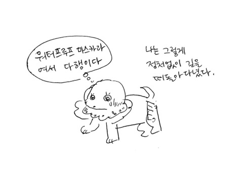나의 아름다운 애완인간2 | 인스티즈