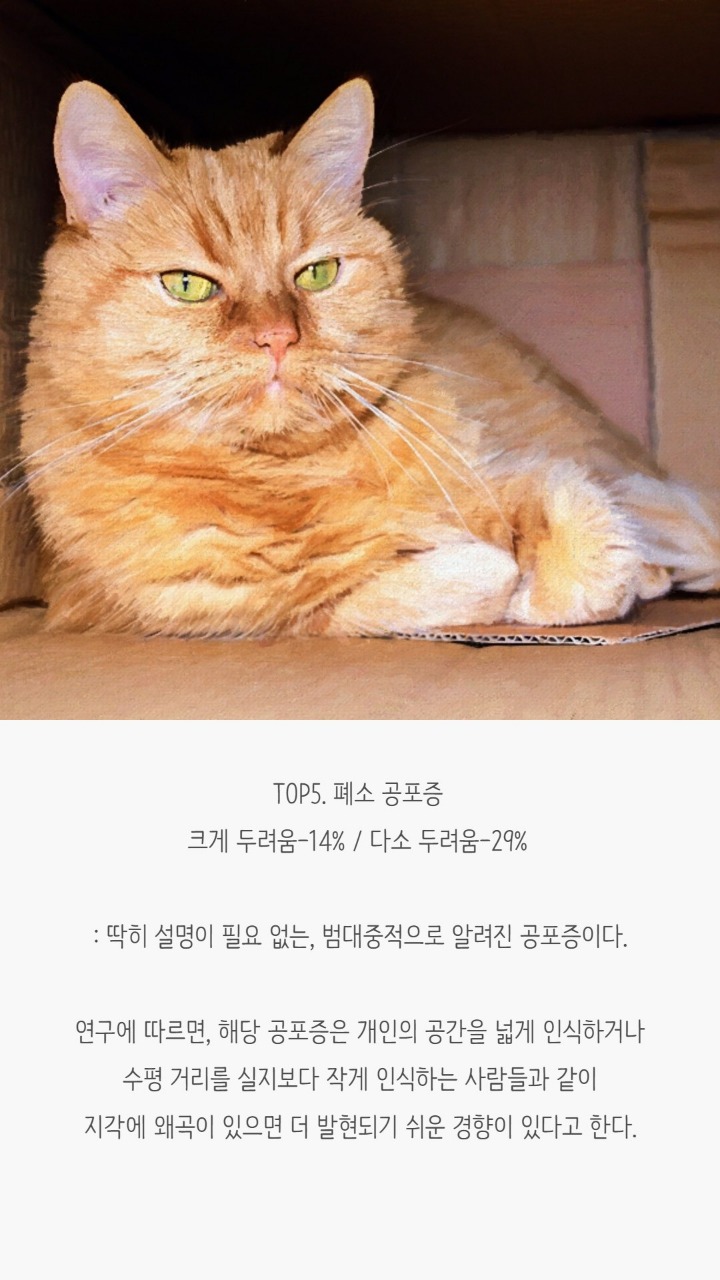 사람들이 겪는 공포증(무서운 사진 없음) | 인스티즈