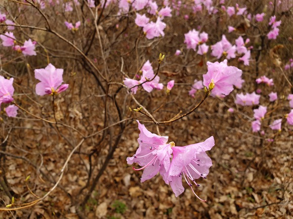 9930EB415C9F0D861C29D2