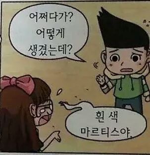 강아지 좀 찾아주세요 | 인스티즈