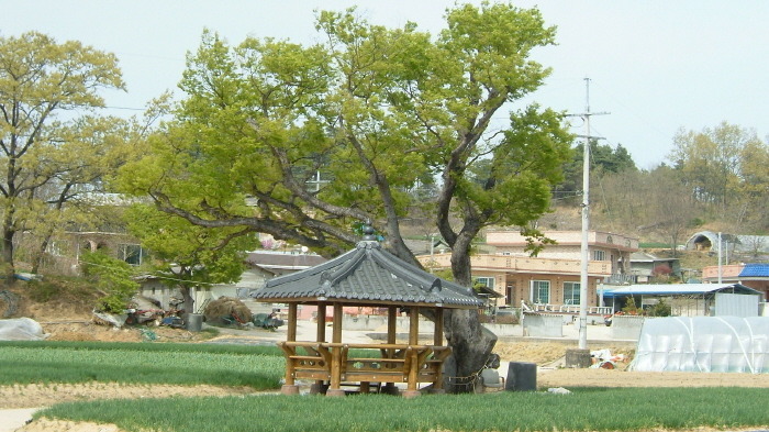 찬물도랑 이미지