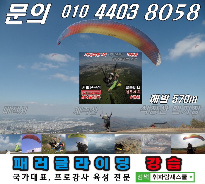 팔롬비니 이미지