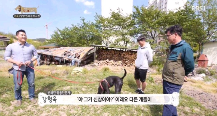 강형욱이 말하는 개들의 향수.JPG | 인스티즈
