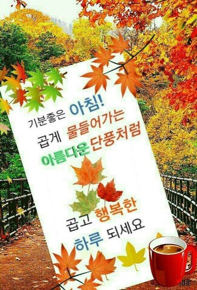 겟소 이미지