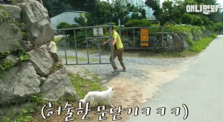 키워키우라고 vs 절대 안키울거라는 아저씨 | 인스티즈