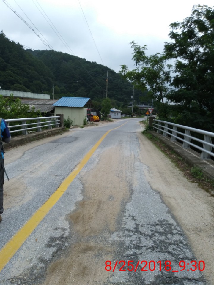지교대호 이미지