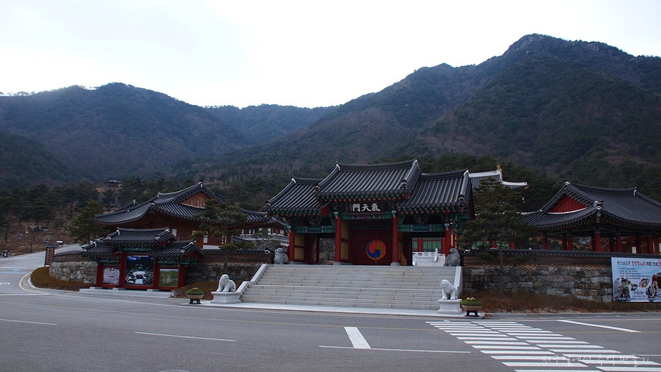 천마여행사 이미지