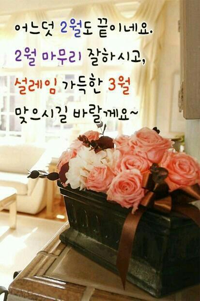 리본나무 이미지