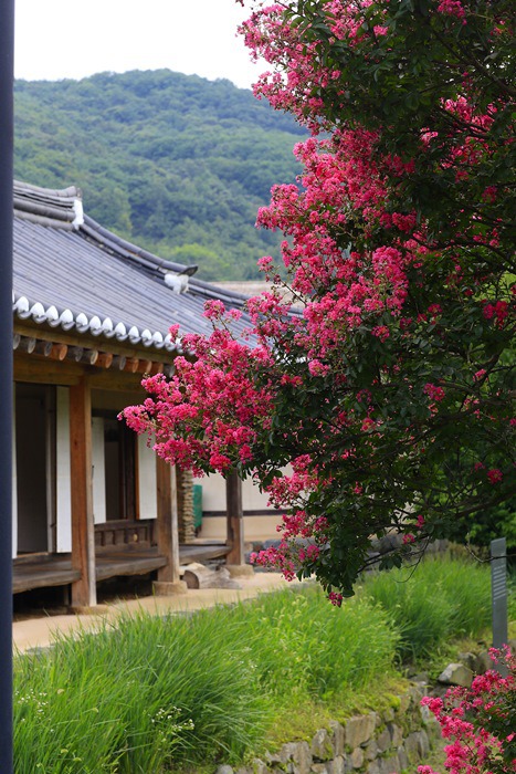 우리;꽃 이미지