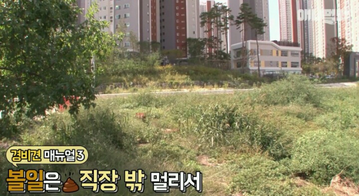 새끼는 사람한테 맡기고 아파트 경비서는 개 | 인스티즈