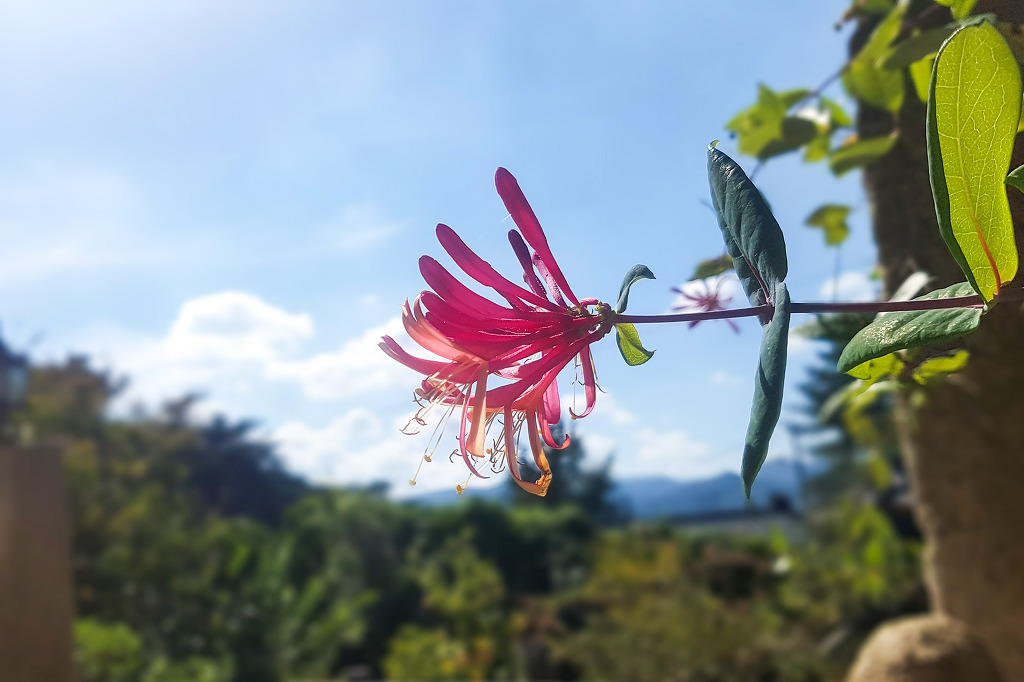 서원식당 이미지