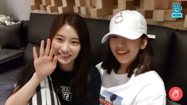 좀 전에 끝난 아이즈원 V앱 멍뭉개굴즈 | 인스티즈