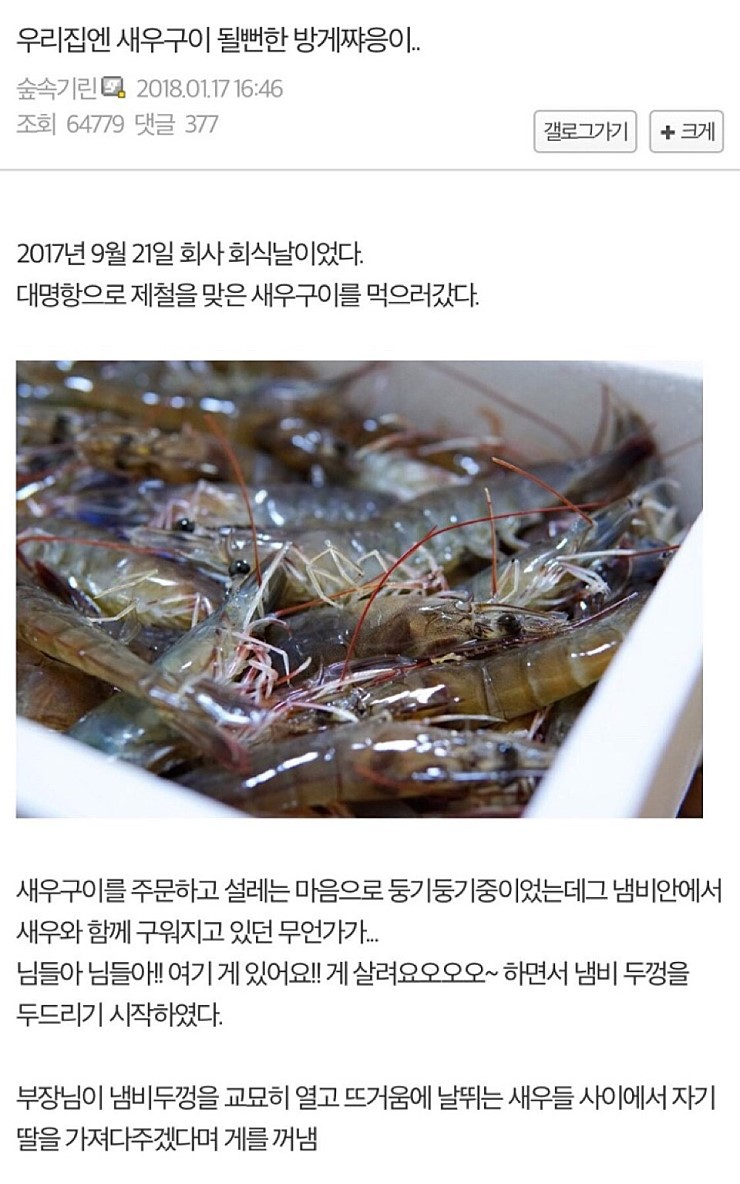 디씨인의 게 키우기 | 인스티즈