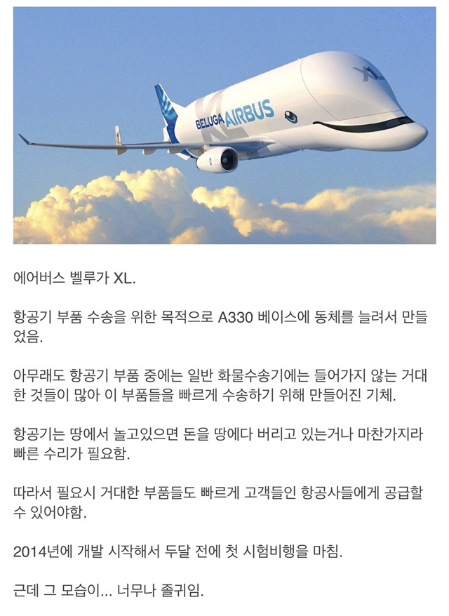 항공계의 최강귀요미.jpg | 인스티즈