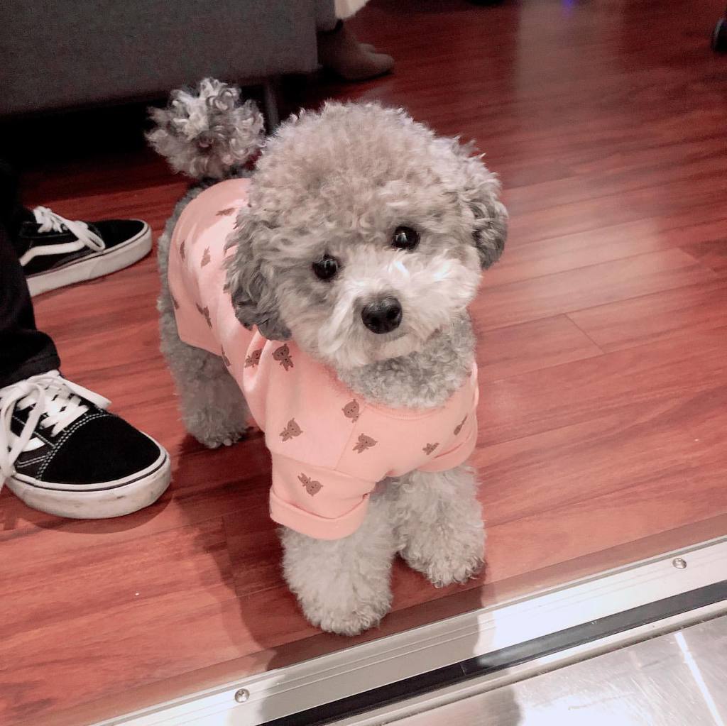 995BD3425E56CE4508A605