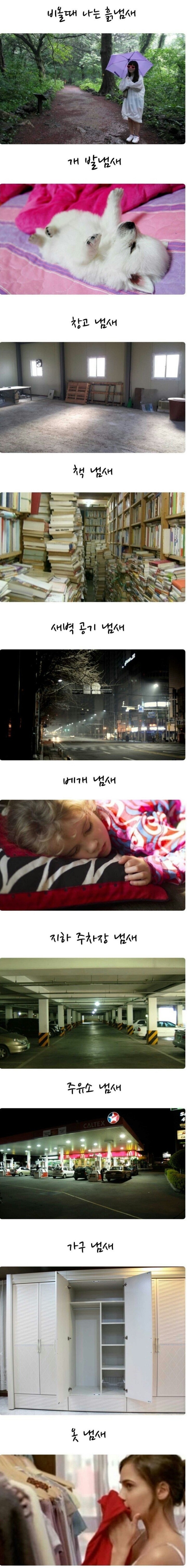 사람들이 은근히 좋아하는 냄새들 | 인스티즈