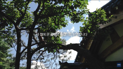 송강마루 이미지