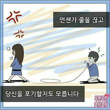 콩닥 이미지