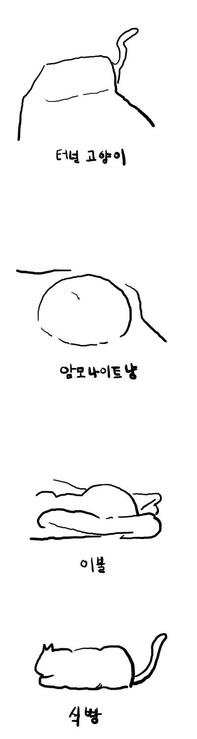 고양이 집사의 이야기3 [고양이의흔적] | 인스티즈