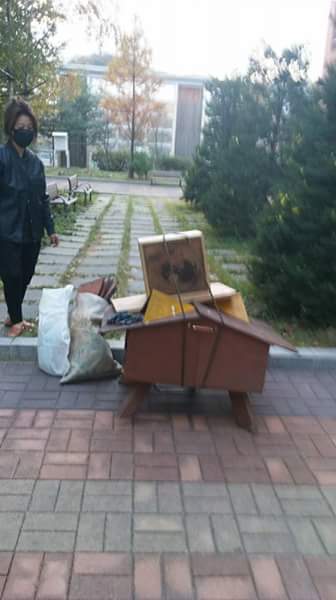광명시 고등학교 길고양이 학대사건 | 인스티즈