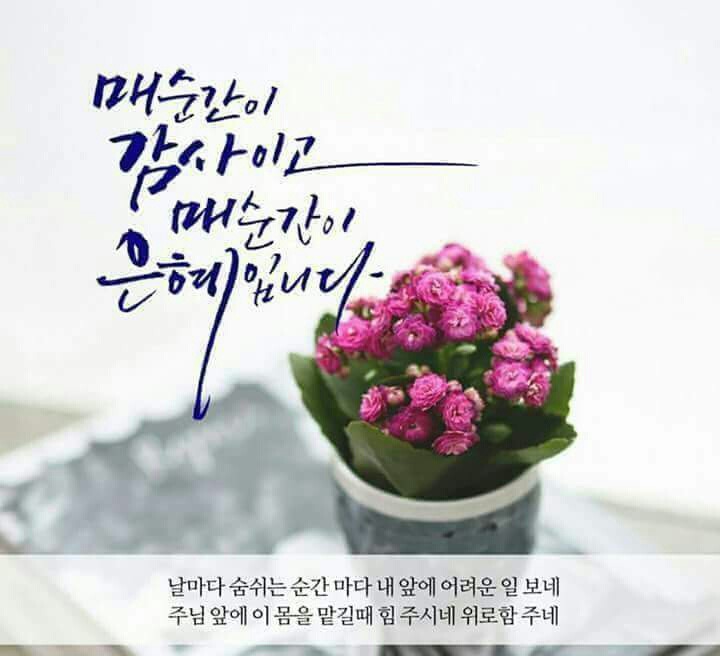 은혜 이미지