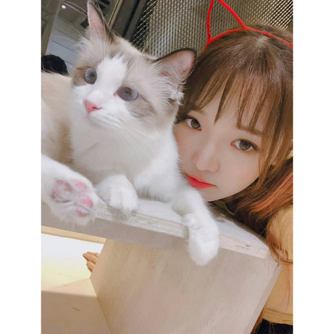 약속회 당첨되서 프로미스 나인 노지선 | 인스티즈