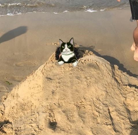 밈밈 이미지
