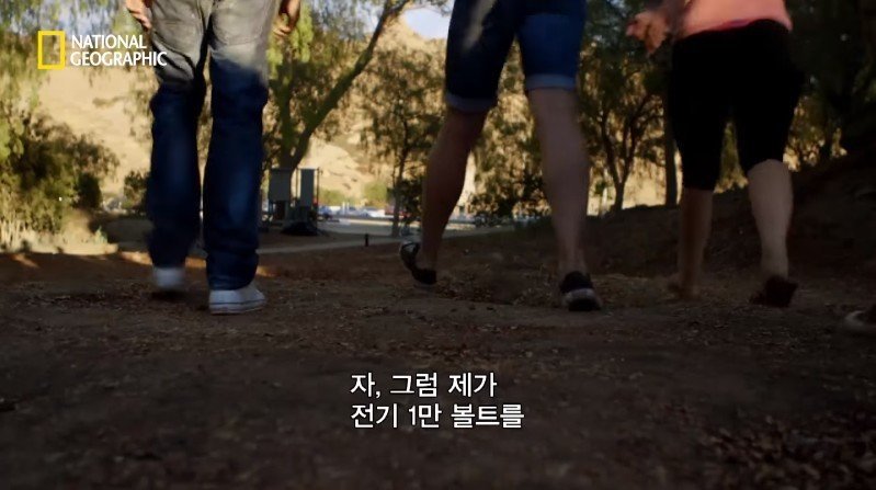 수박 안에 1만 볼트를 내보내면 생기는 일 | 인스티즈