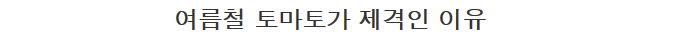 여름철 토마토가 제격인 이유 | 인스티즈