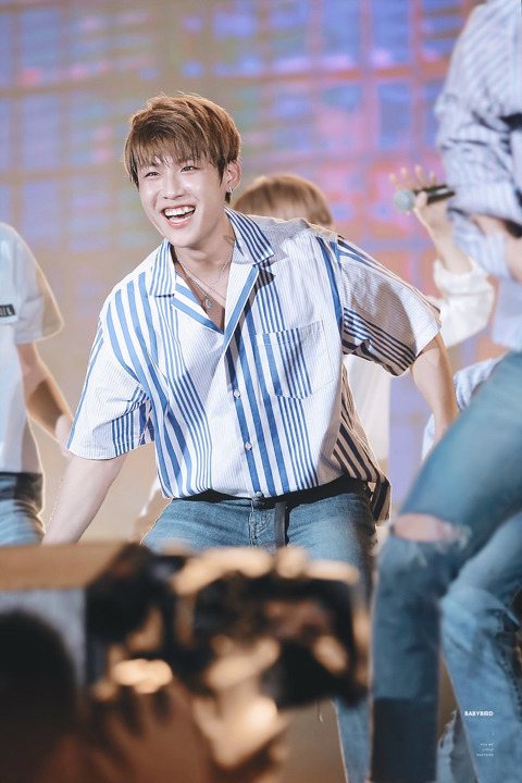 참우진 이미지