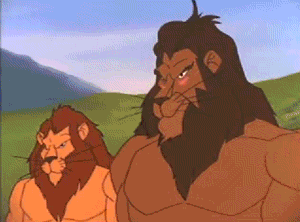 사자의 번식방법.gif | 인스티즈