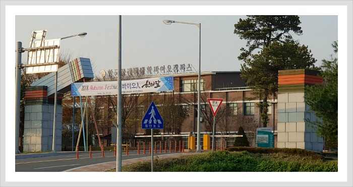 와이앤푸드 이미지
