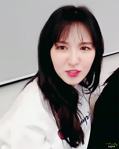 레드벨벳 웬디 | 인스티즈