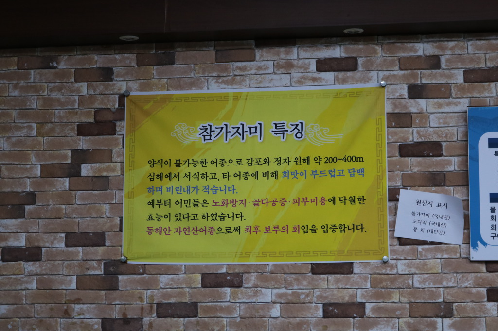 감포참가자미 이미지