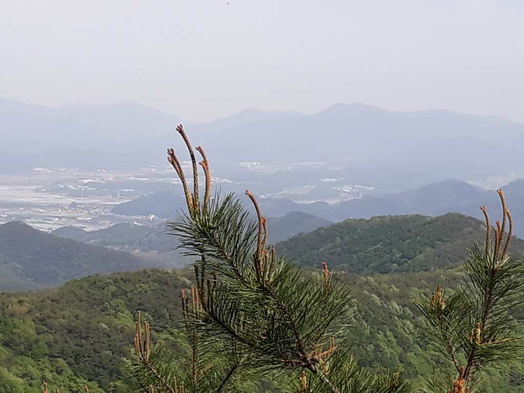 고향산천 이미지