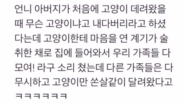아버지가 고양이에게 마음을 연 이유 | 인스티즈