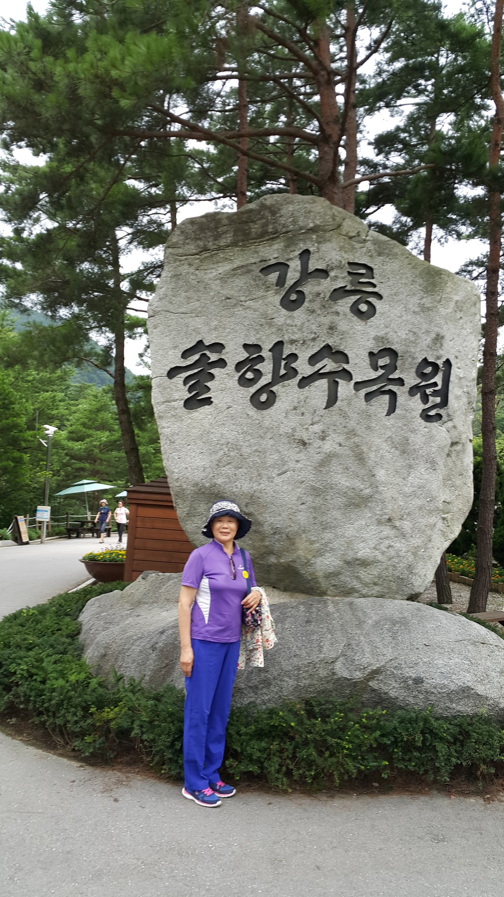 세아여행사 이미지