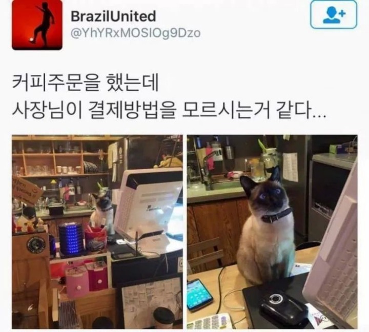 커피주문을 했는데 사장님이 결제방법을 모르시는거 같다... | 인스티즈