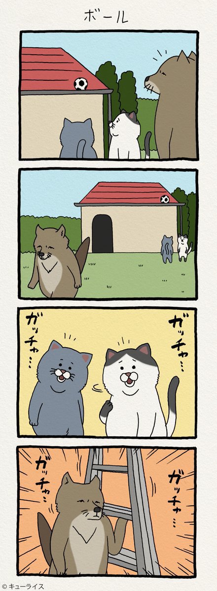 친절한 티벳여우 | 인스티즈