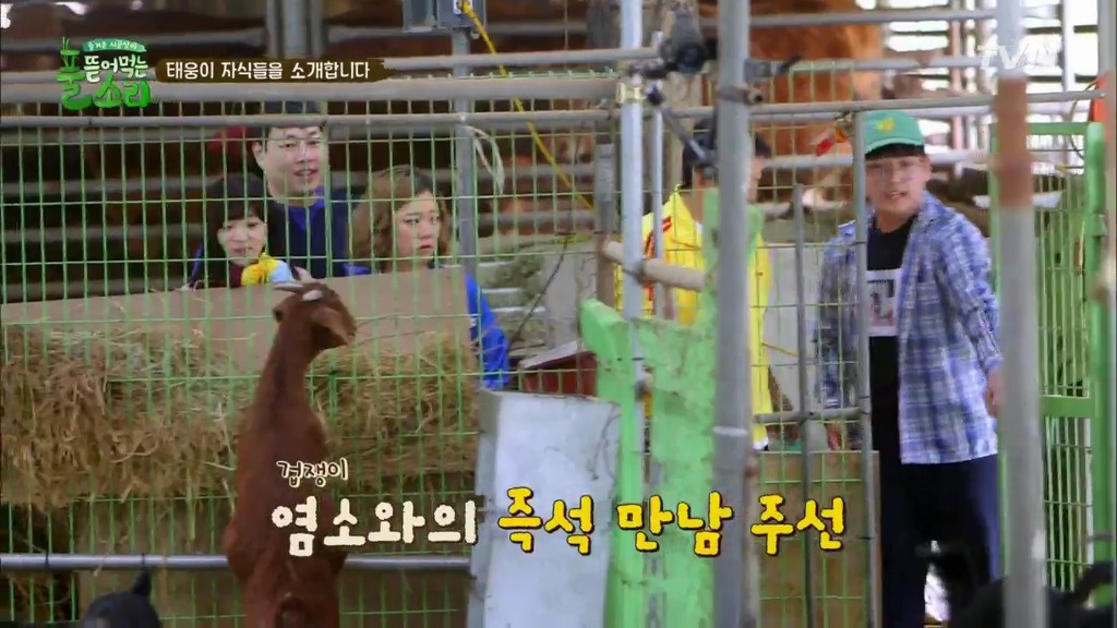 [풀뜯어먹는소리] 닭에서 시작해 소까지 살 수 있게 된 중딩농부 태웅.jpg | 인스티즈